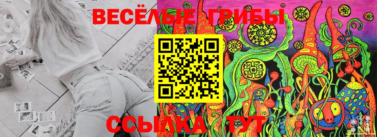 Галлюциногенные грибы MAGIC MUSHROOMS Тосно