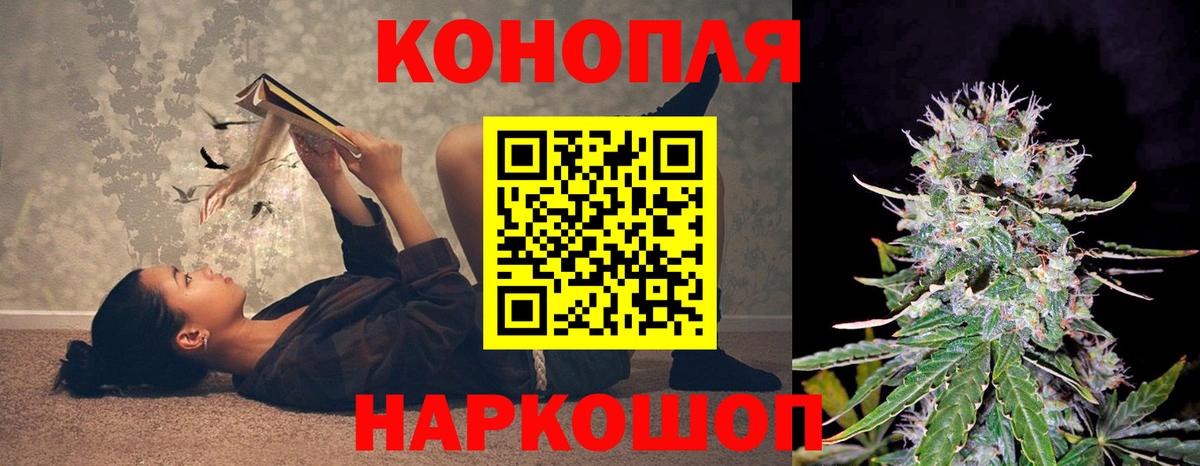 Каннабис OG Kush Тосно